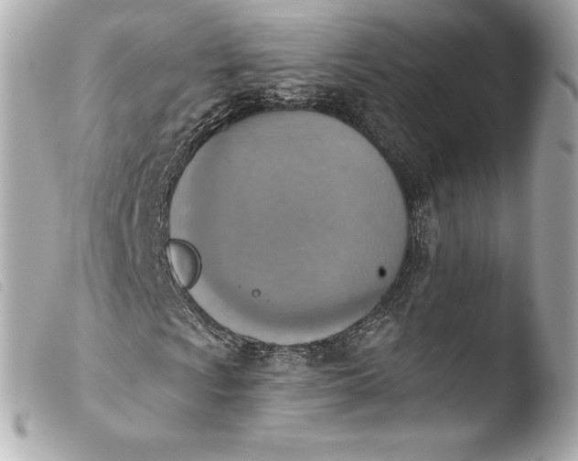 X0000103951009200810031340