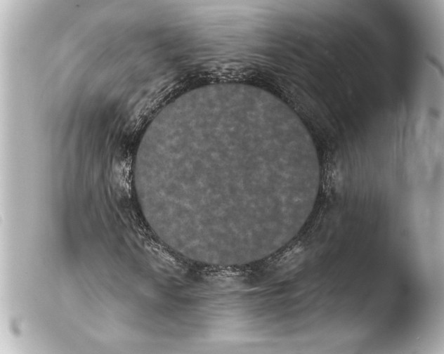 X0000103951010200810031340