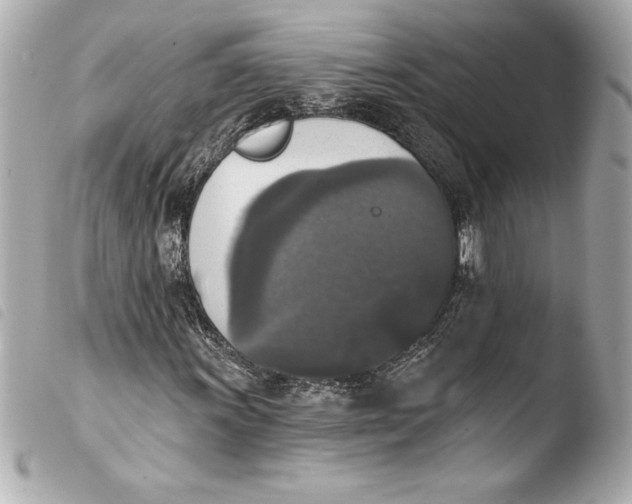 X0000103951011200810031340