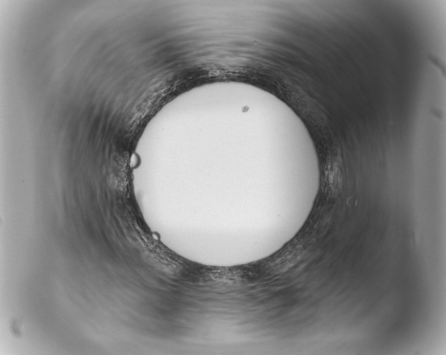 X0000103951012200810031340