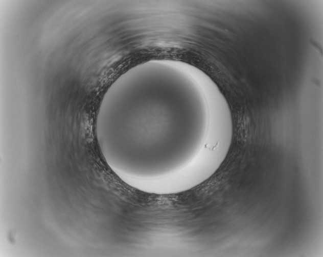 X0000103951013200810031340