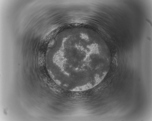 X0000103951014200810031340