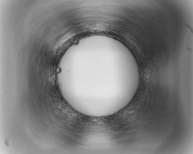 X0000103951015200810031340