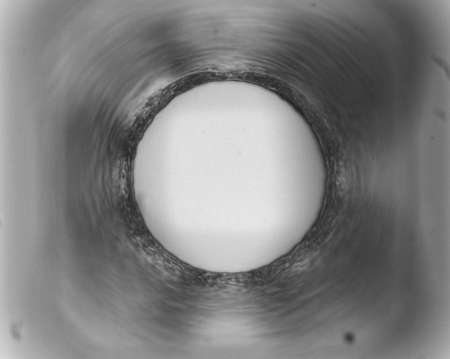 X0000103951016200810031340