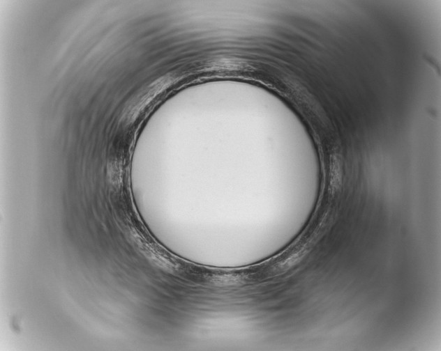 X0000103951017200810031340