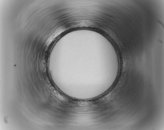 X0000103951018200810031340