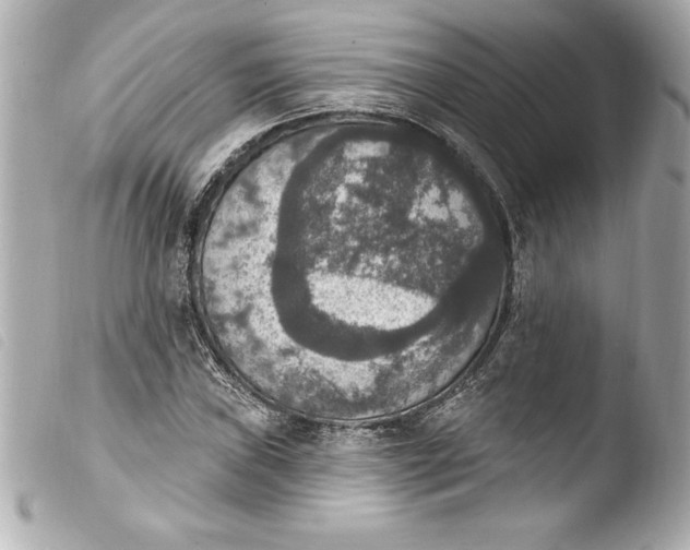 X0000103951019200810031340