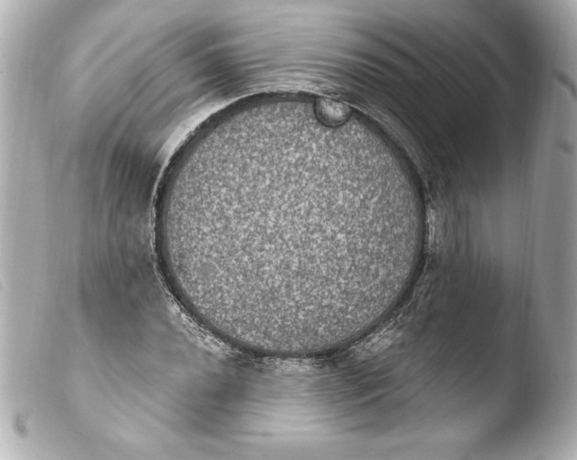 X0000103951020200810031340