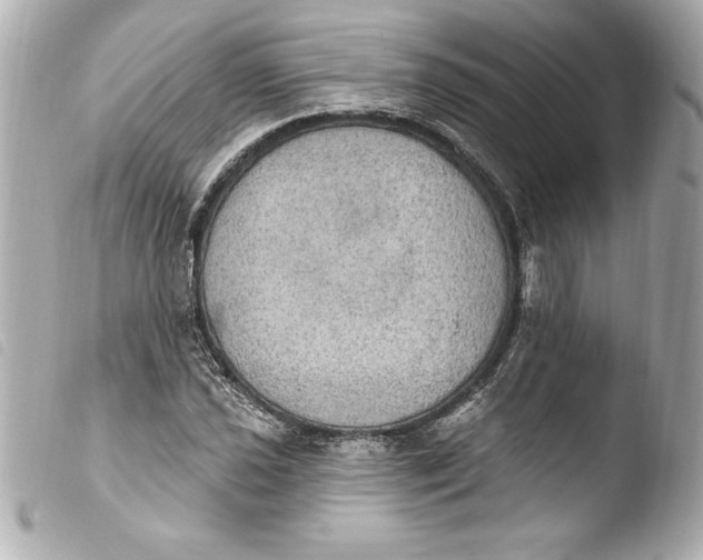 X0000103951021200810031340