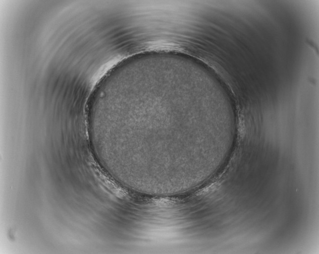 X0000103951022200810031340