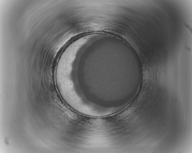 X0000103951023200810031340