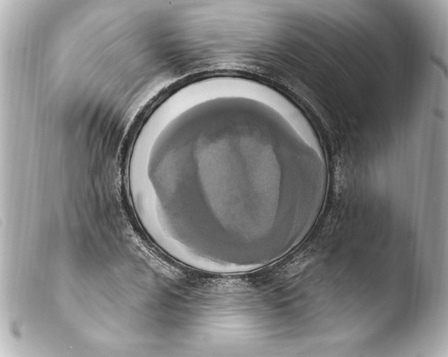 X0000103951024200810031340