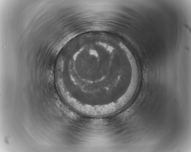 X0000103951025200810031340