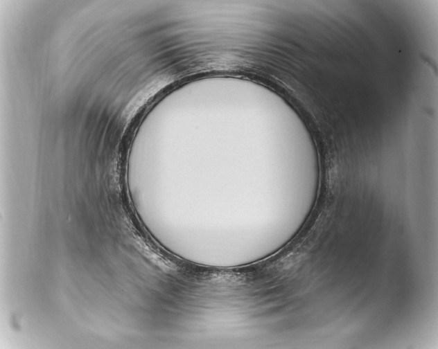 X0000103951026200810031340