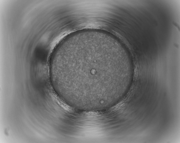 X0000103951027200810031340