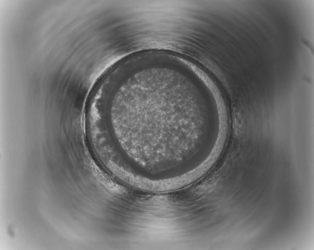 X0000103951028200810031340