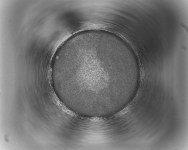 X0000103951029200810031340