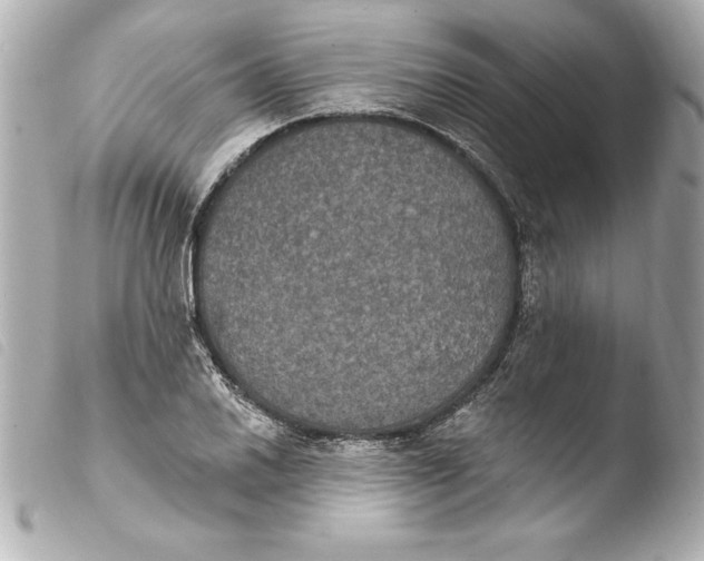 X0000103951030200810031340