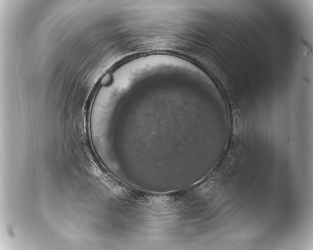 X0000103951031200810031340