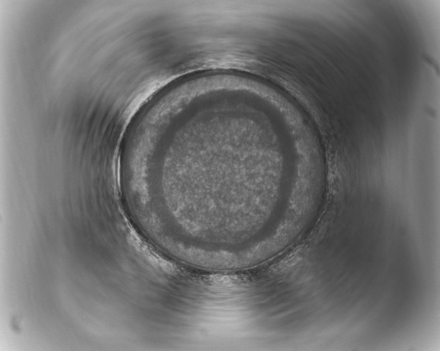 X0000103951032200810031340