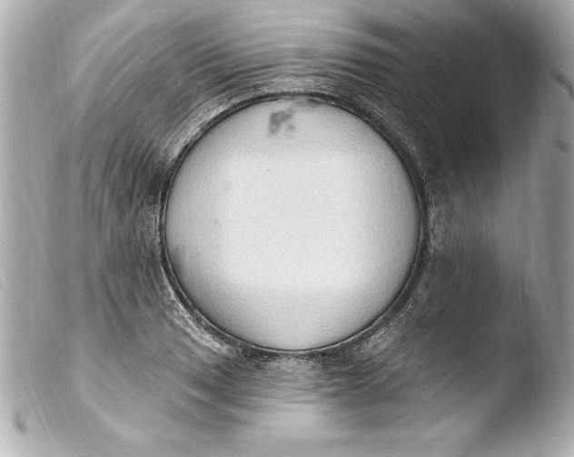 X0000103951033200810031340