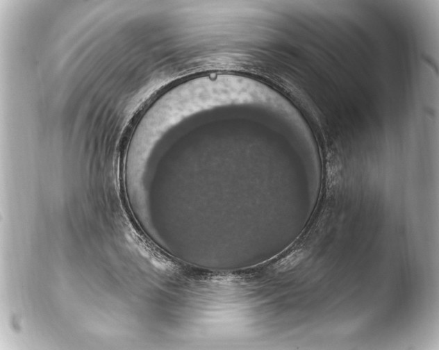 X0000103951035200810031340