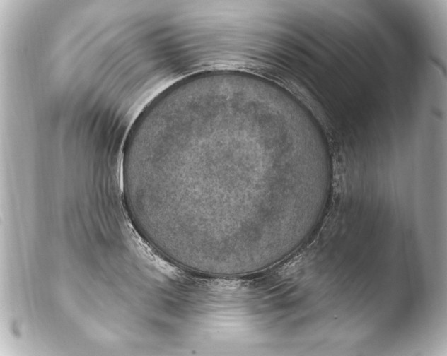 X0000103951036200810031340