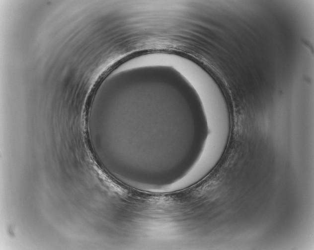 X0000103951037200810031340