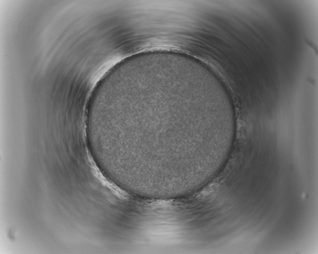 X0000103951038200810031340