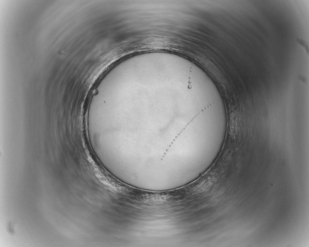 X0000103951039200810031341