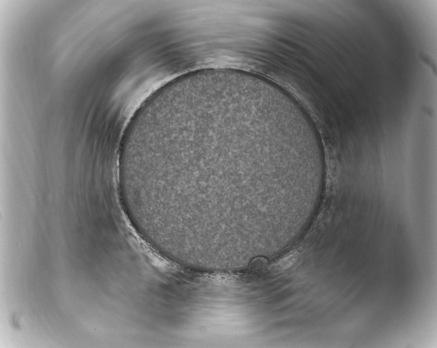 X0000103951040200810031341