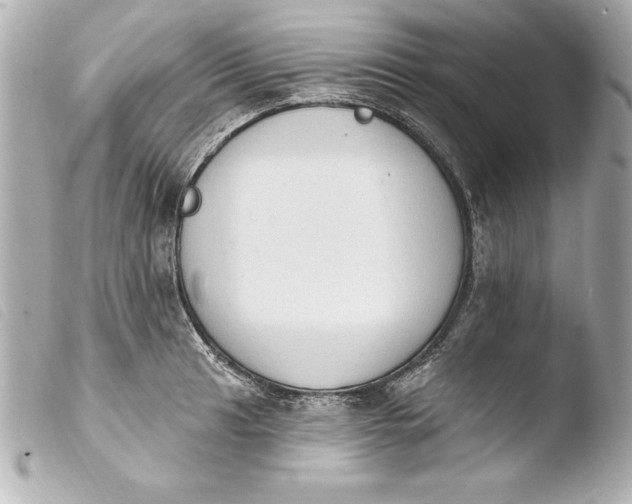 X0000103951041200810031341