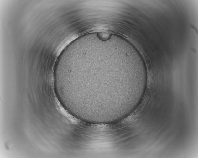 X0000103951042200810031341