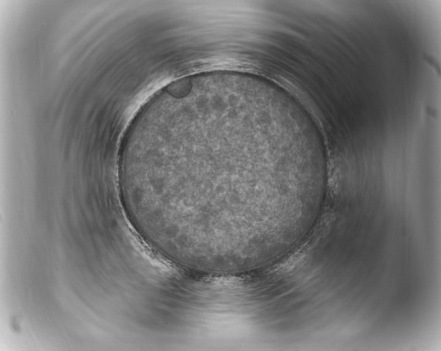 X0000103951043200810031341