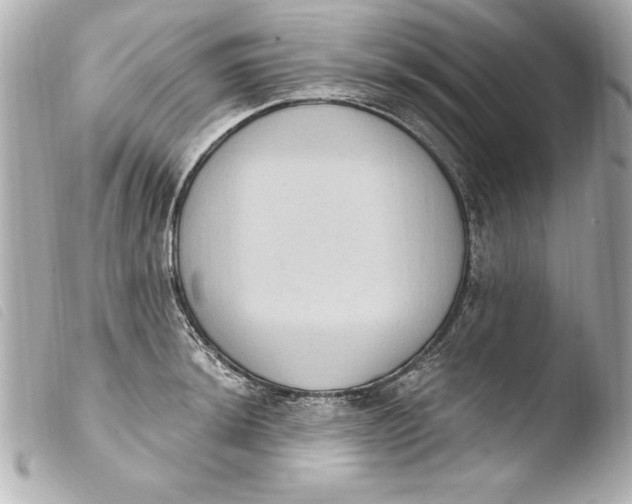 X0000103951044200810031341