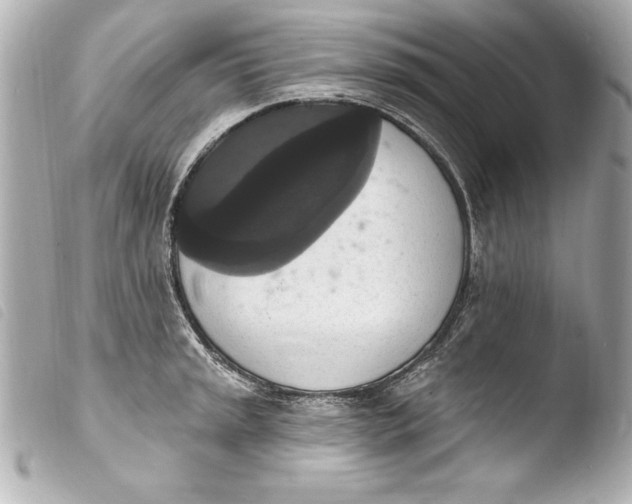 X0000103951045200810031341