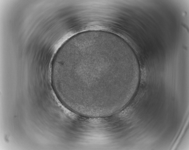 X0000103951046200810031341