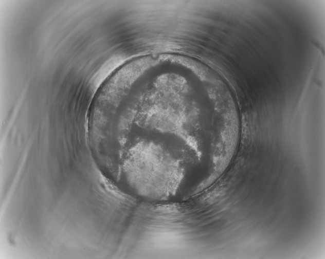 X0000103951047200810031341