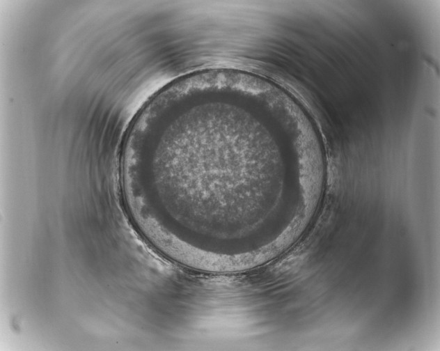 X0000103951048200810031341