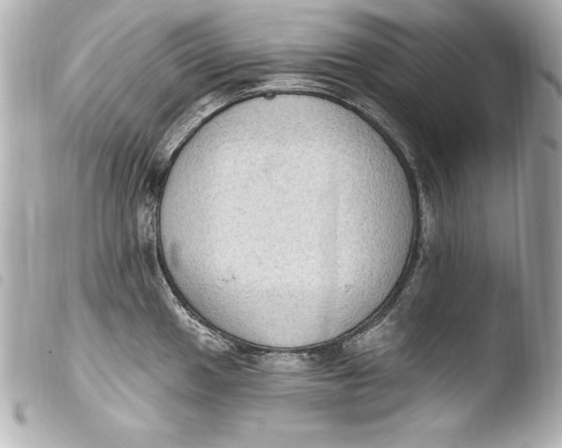 X0000103951049200810031341