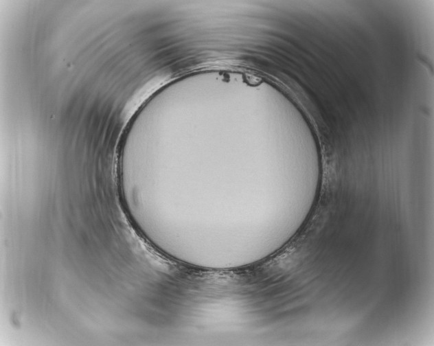 X0000103951050200810031341