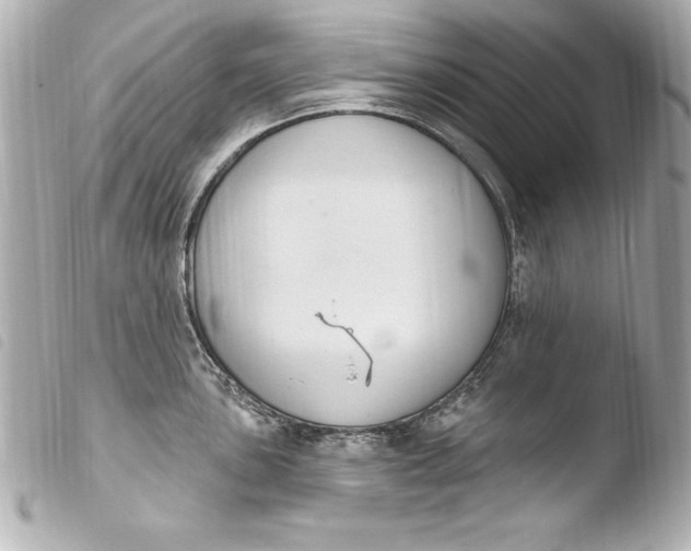 X0000103951051200810031341