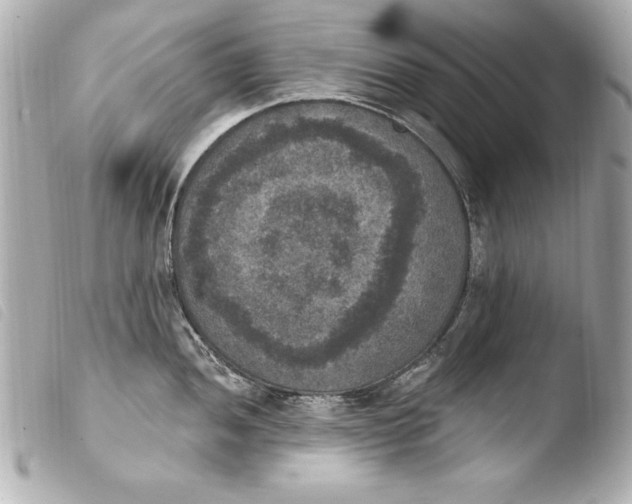 X0000103951052200810031341