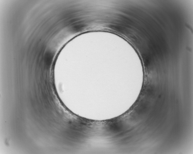 X0000103951053200810031341