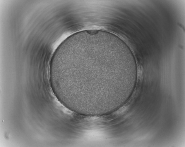 X0000103951054200810031341