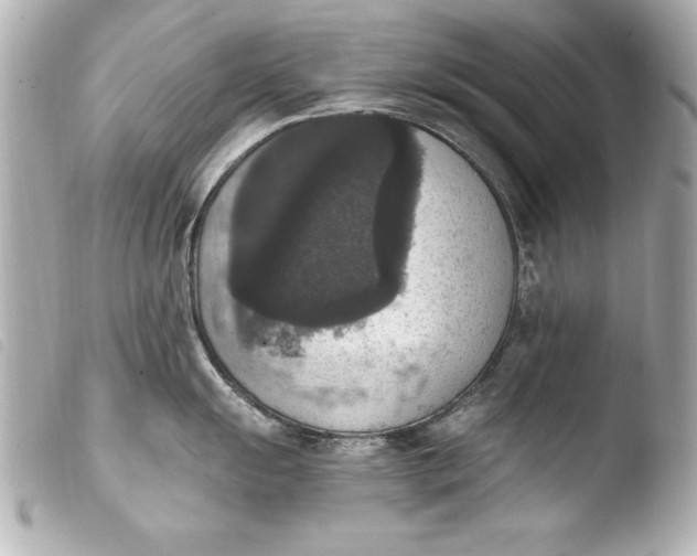 X0000103951055200810031341