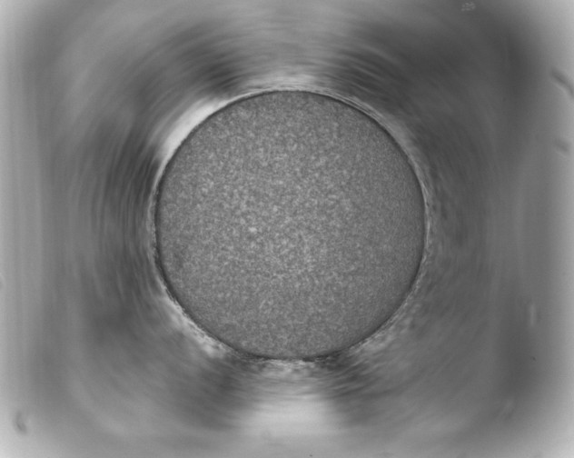 X0000103951056200810031341