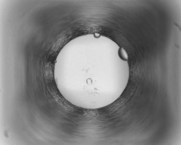 X0000103951058200810031340