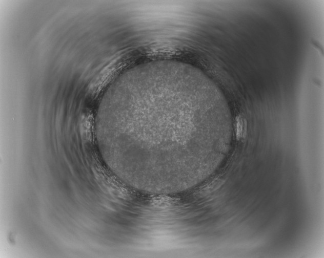 X0000103951059200810031340