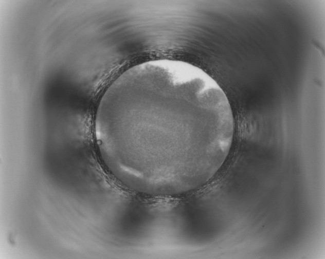 X0000103951060200810031340